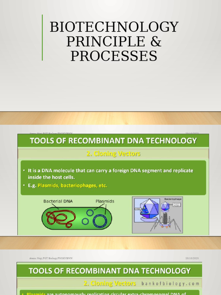 Biotechnology Principles and Processes | PDF | Plasmid | Molecular Genetics
