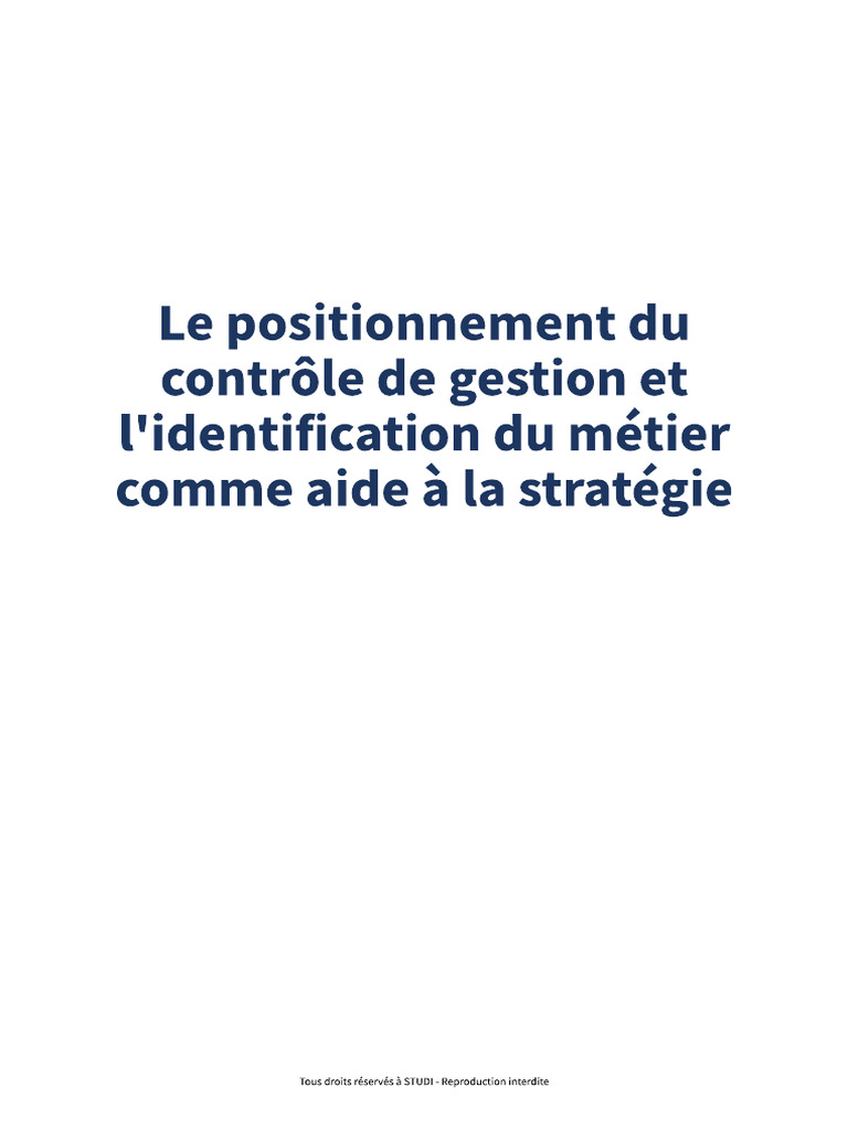Le Positionnement Du Controle de Gestion | PDF