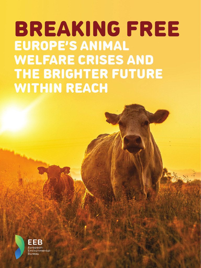 Europe’s Animal Welfare Crisis Explained | PDF | Agriculture | Animal ...