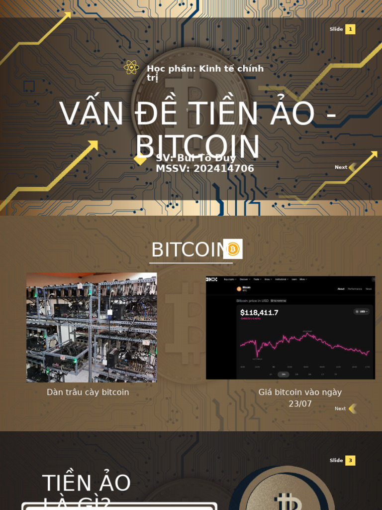 Bit Coin | PDF