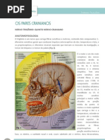 Nervo Trigemio-Anatomofisiologia