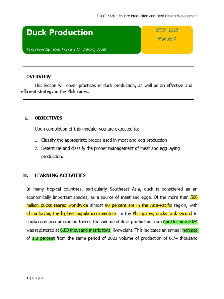 Duck Production in the Philippines | PDF | Poultry | Poultry Farming