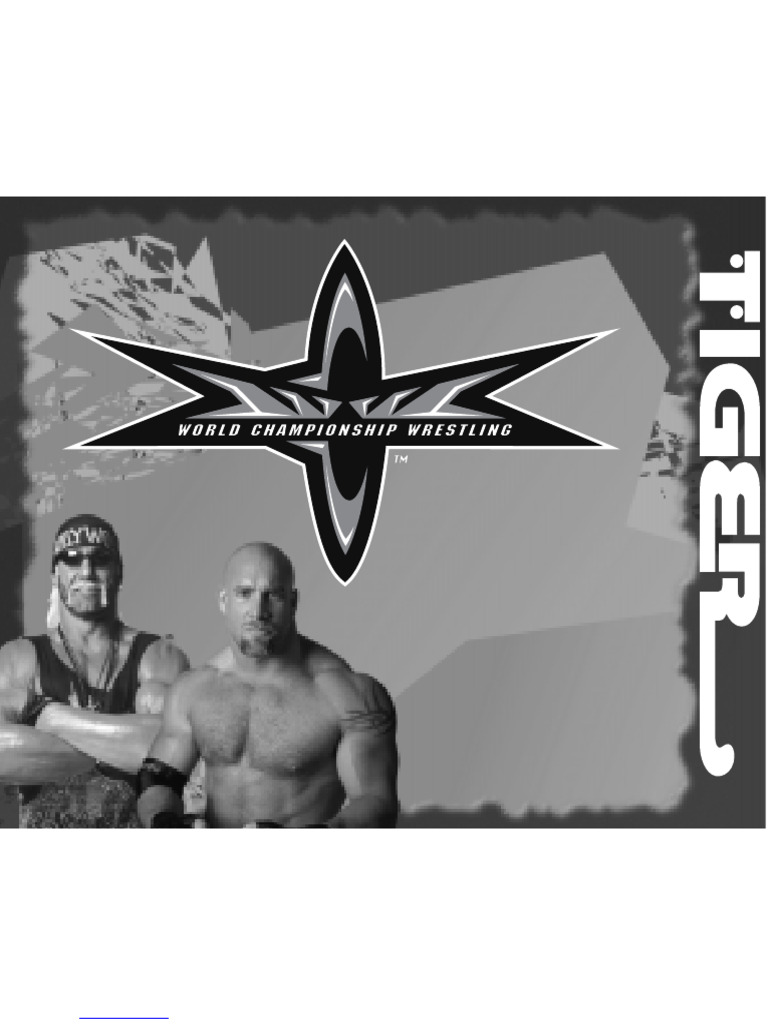 WCW Wrestling Game Manual: Hogan vs. Goldberg | PDF | Professional ...