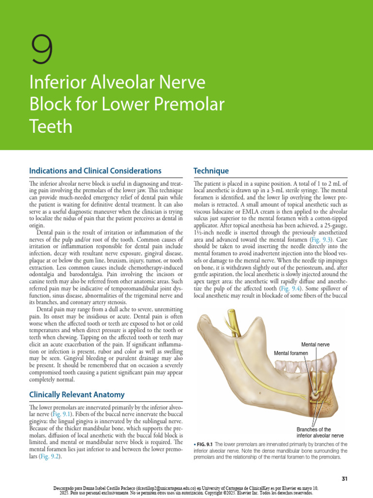 Inferior Alveolar Nerve Block Guide | PDF | Tooth | Medical Specialties