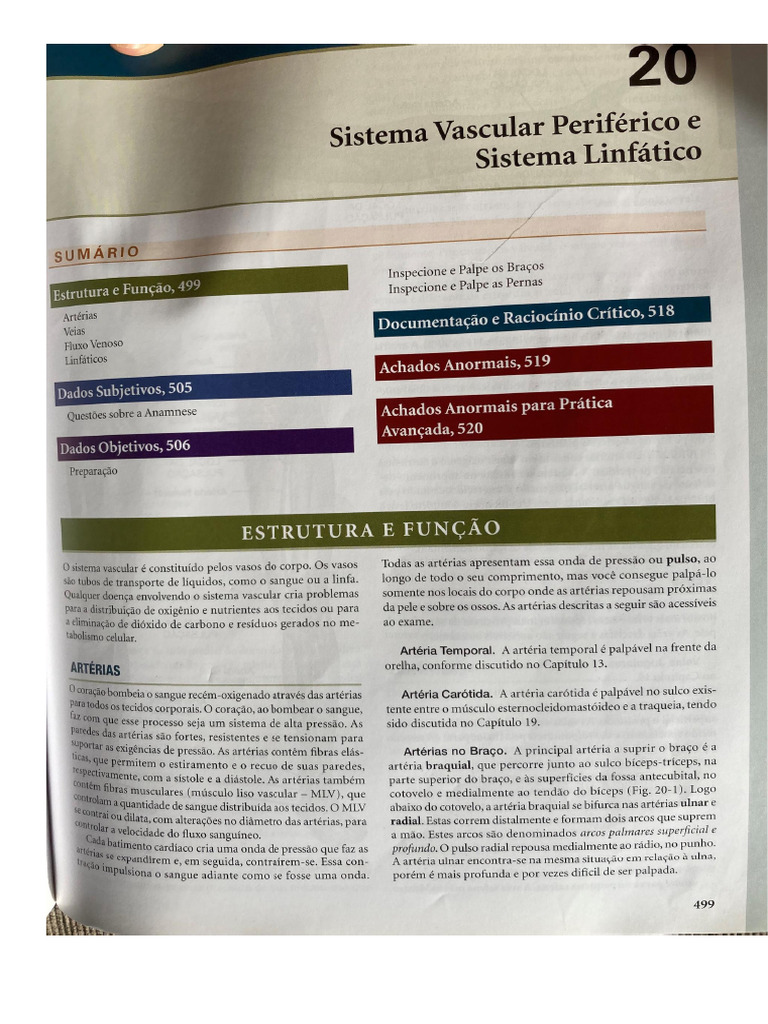 Jarvis Cap. 20 | PDF