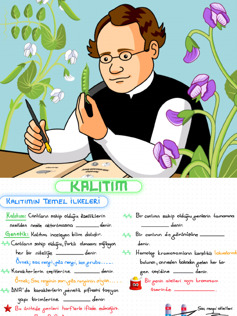 Kalitim 1 | PDF