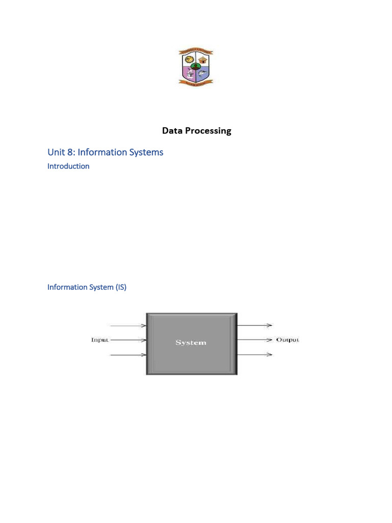 Unit 8 - Information Systems in Data Processing | PDF | System | E Commerce