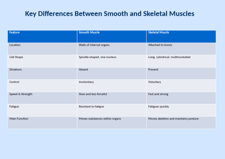 Smooth vs. Skeletal Muscles Explained | PDF