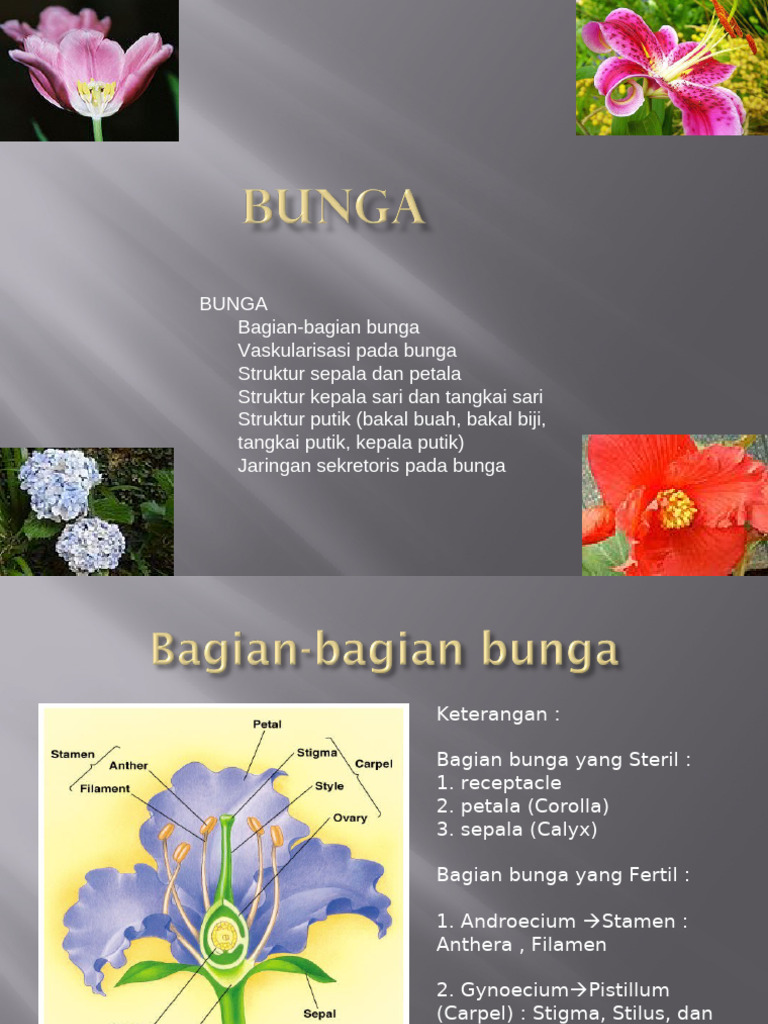 4. STRUKTUR BUNGA | PDF