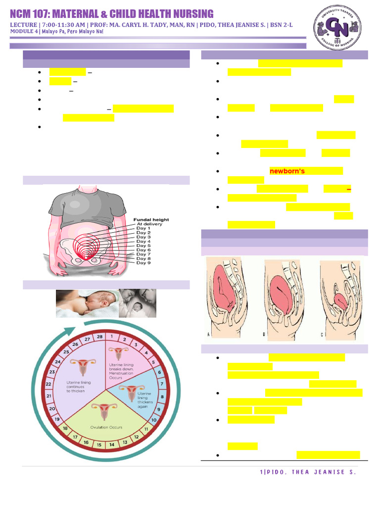Postpartum Care: Nursing Guidelines | PDF | Postpartum Period | Childbirth