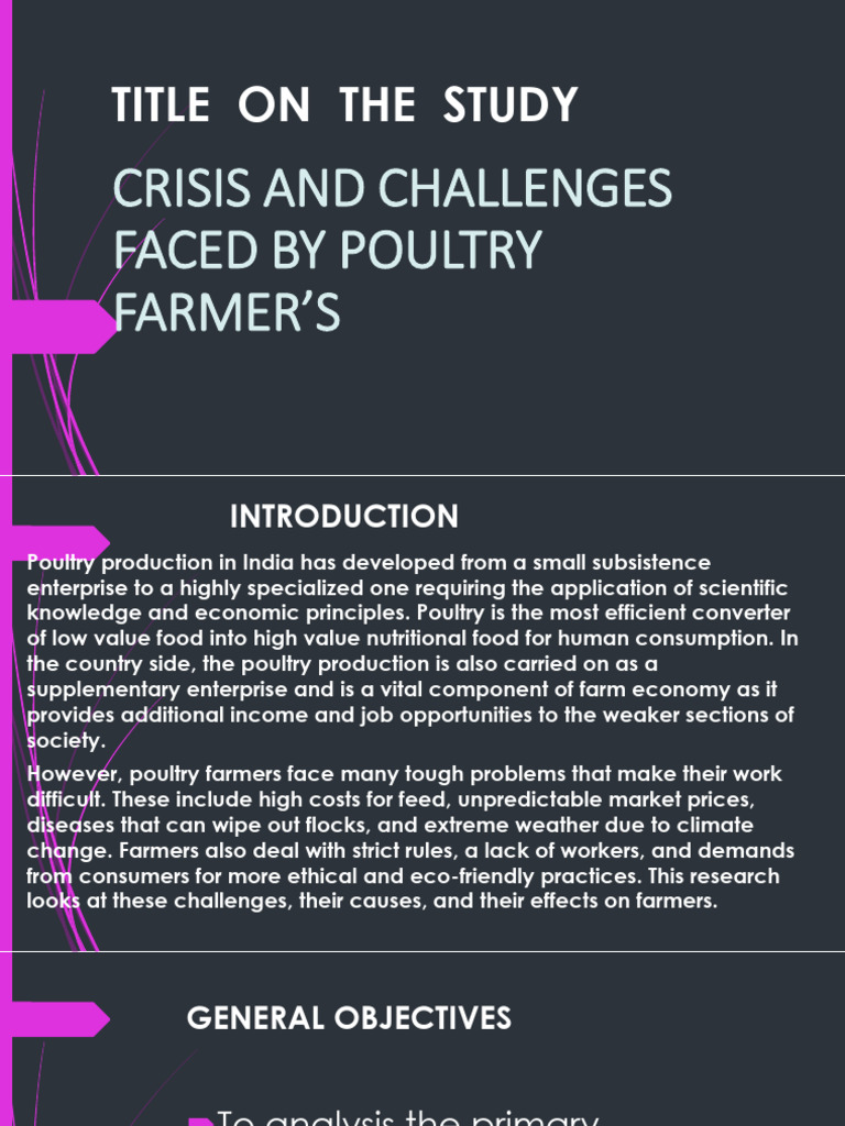 Poultry Farmers' Crisis and Challenges | PDF | Poultry | Agriculture