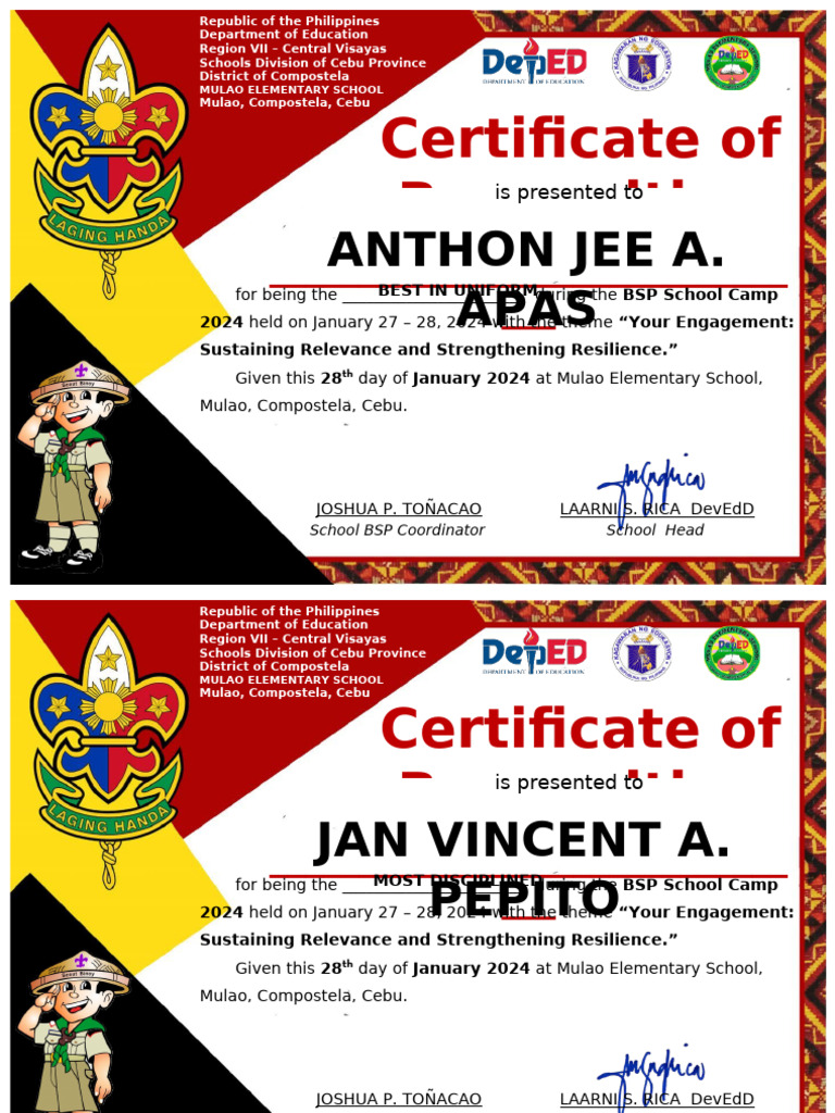 BSP Cert Individual Awards | PDF | Philippines