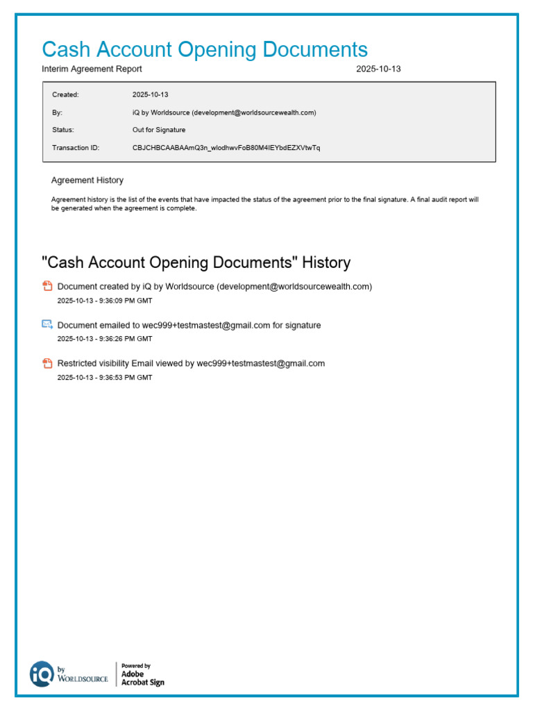 Cash Account Opening Documents - Audit Report | PDF