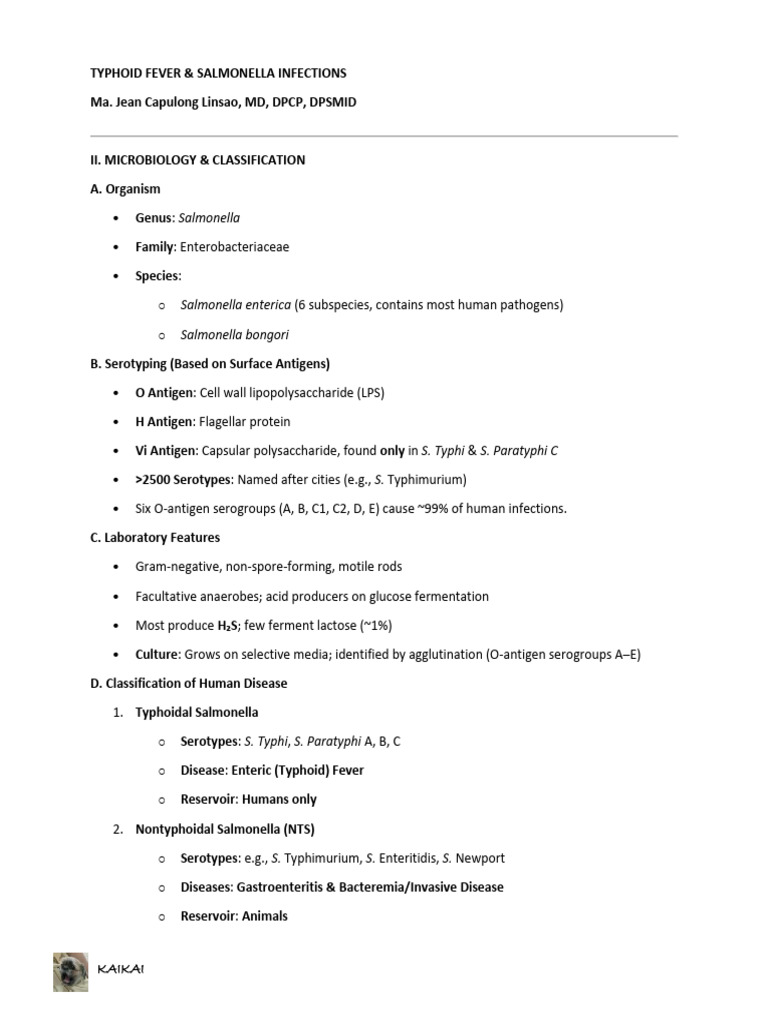 Typhoid Fever Overview and Management | PDF | Salmonella | Medical ...