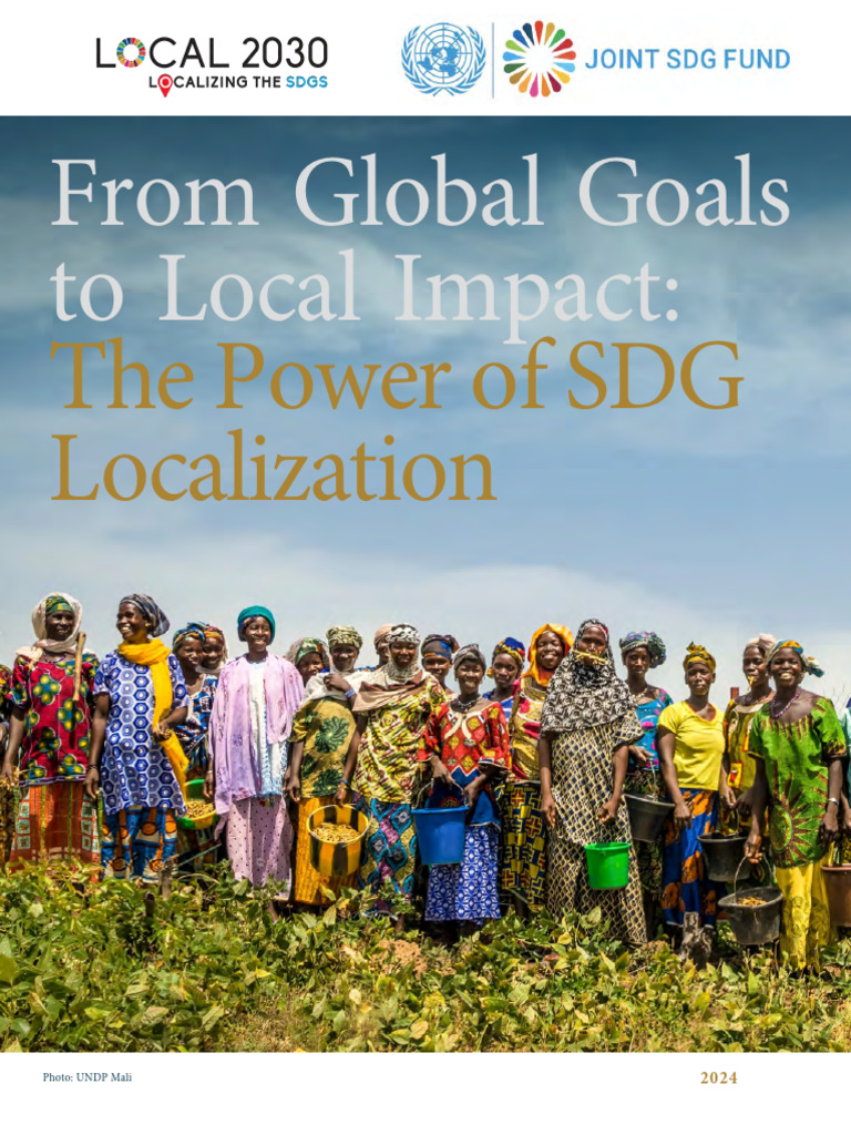 SDG Localization Booklet 2024 | PDF | Natural Environment | Economies