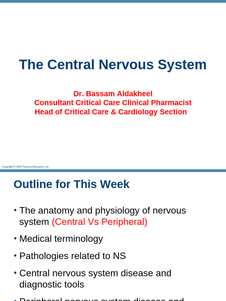 Overview of the Central Nervous System | PDF | Central Nervous System ...