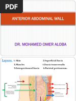 Anatomy of the Anterior Abdominal Wall | PDF | Abdomen | Vein