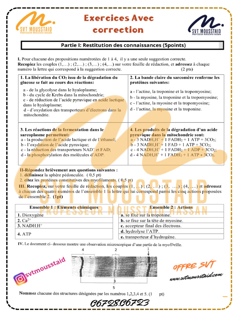 Exercices Avec Correction PDF | PDF