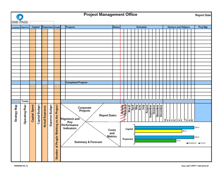 OPPM Project Management Overview | PDF
