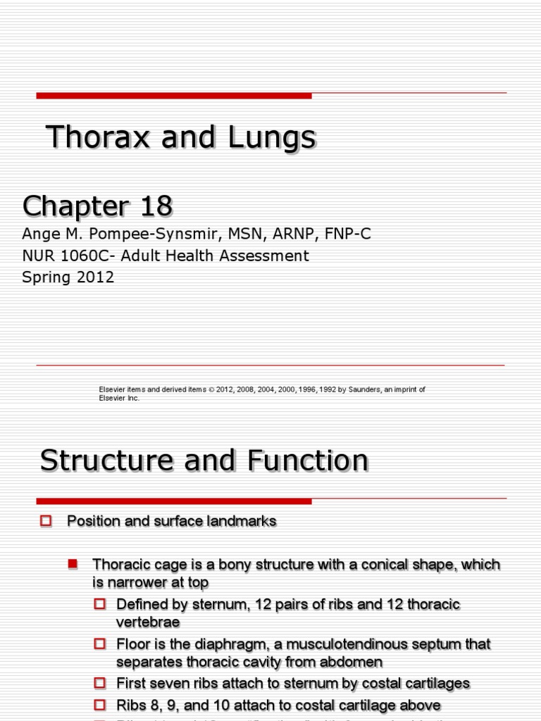Assessing the peripheral vascular system quizlet image