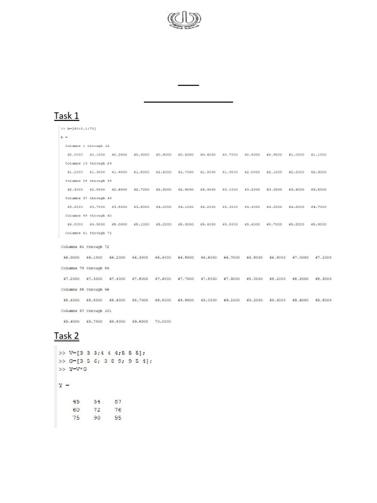 Anas NC Lab 1 | PDF