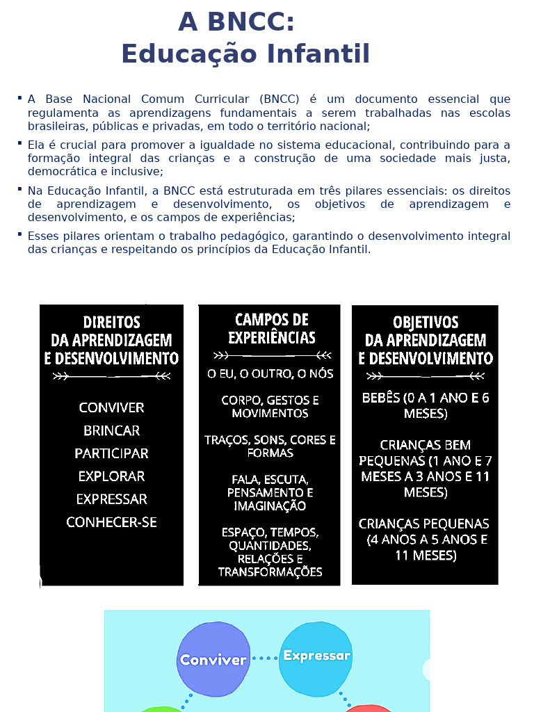 BNCC na Educação Infantil: Direitos e Objetivos | PDF | Educação ...
