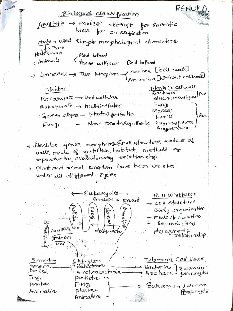 Biological Classification Overview | PDF | Eukaryotes | Nature