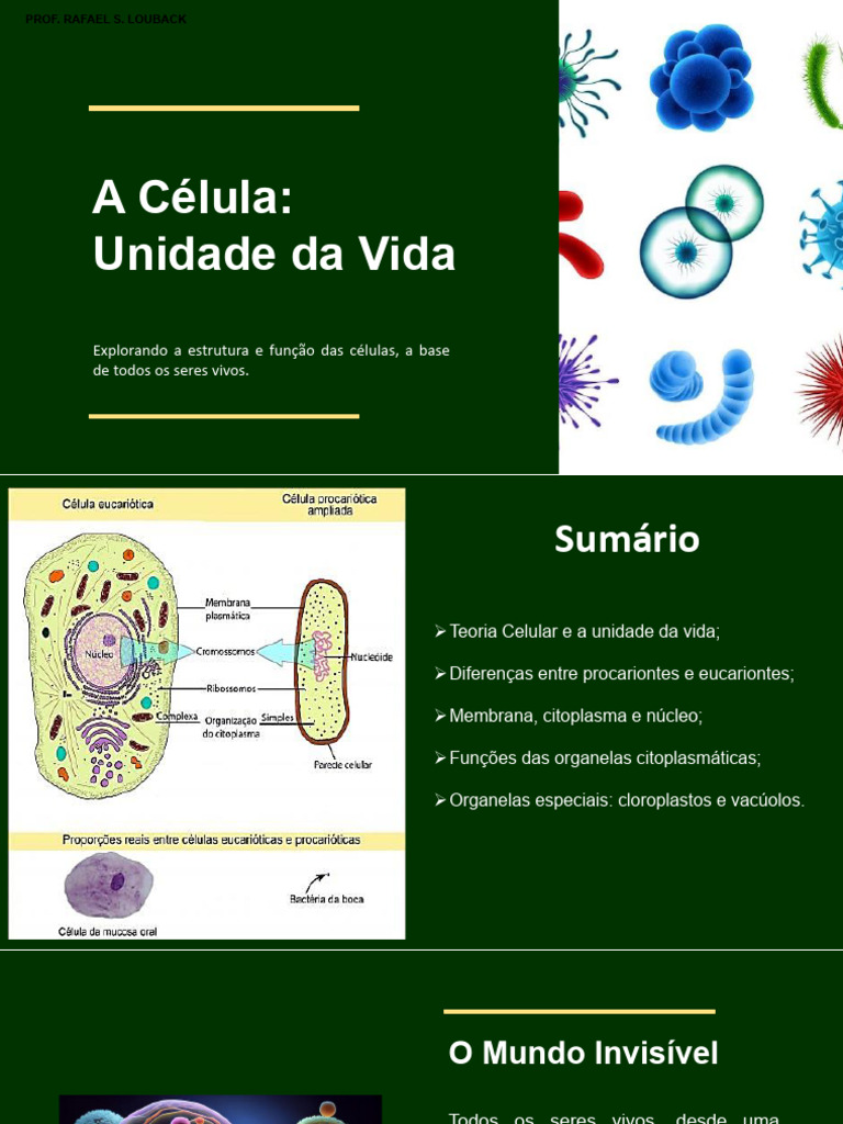 A Célula: Unidade da Vida e Funções | PDF | Retículo endoplasmático ...