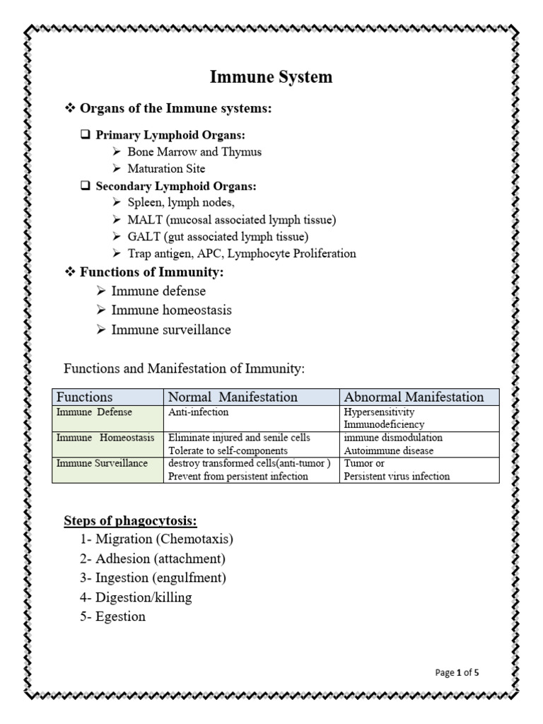 Overview of Immune System Functions | PDF | Immune System | Antigen