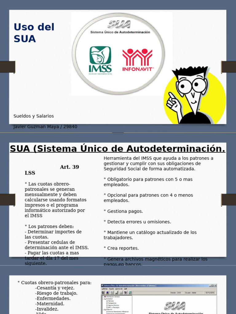 Manejo Del SUA | PDF | Salario | Pensión