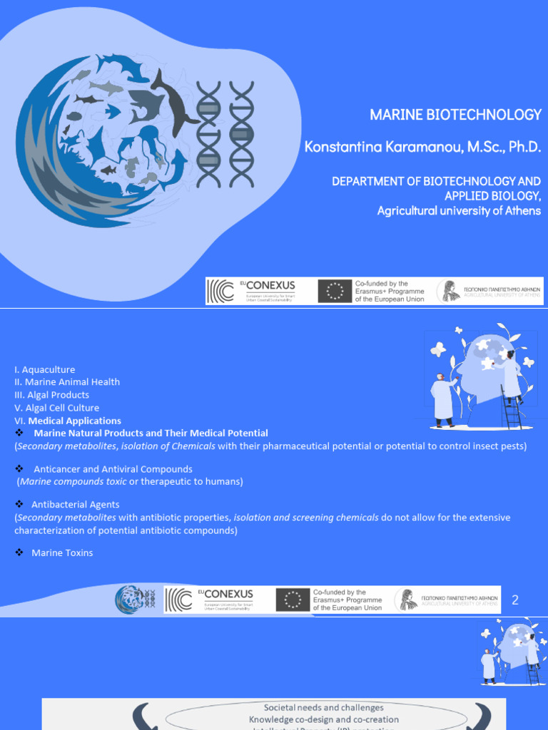 Marine Biotechnology: Drug Discovery Insights | PDF | Biofuel ...