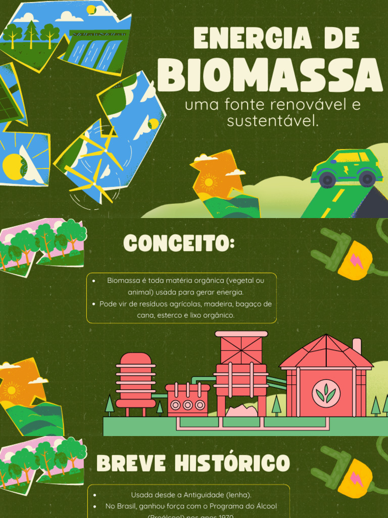 Biomassa: Energia Renovável Sustentável | PDF