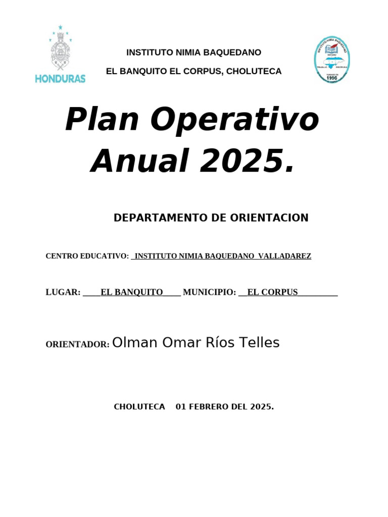 Plan Operativo Anual 2025 - Instituto Nimia Baquedano | PDF