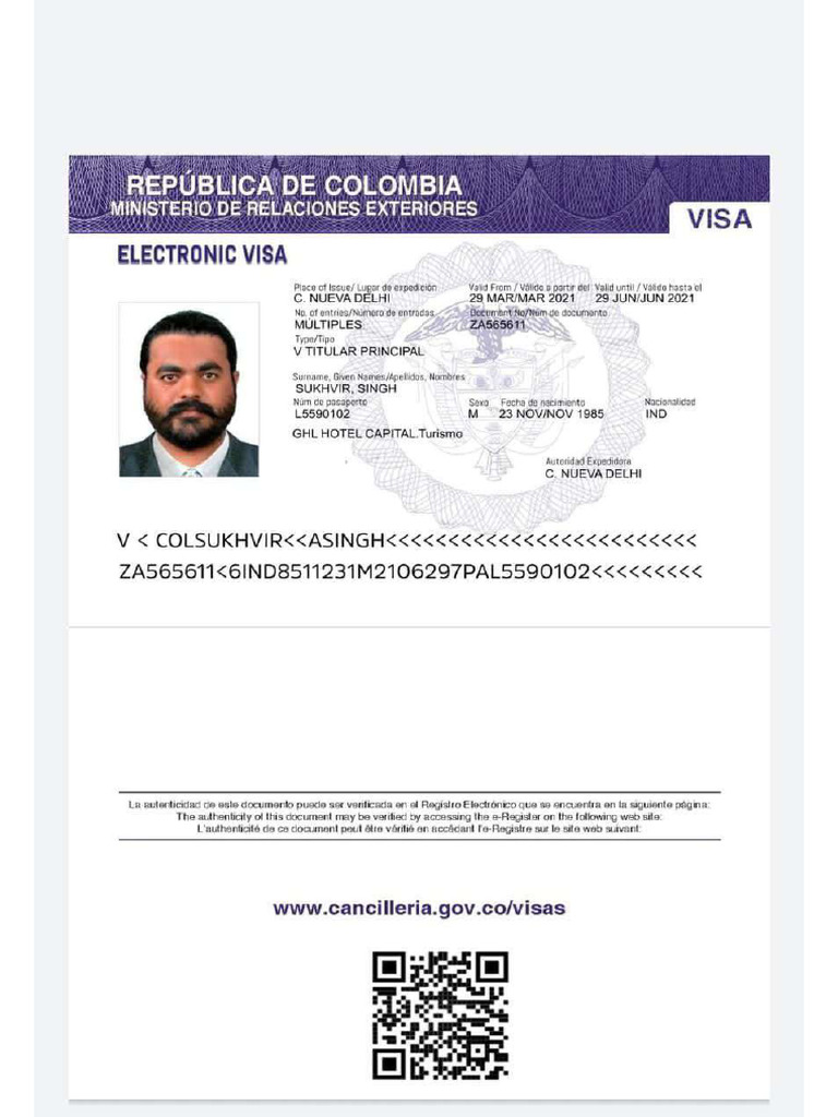 E Visa | PDF