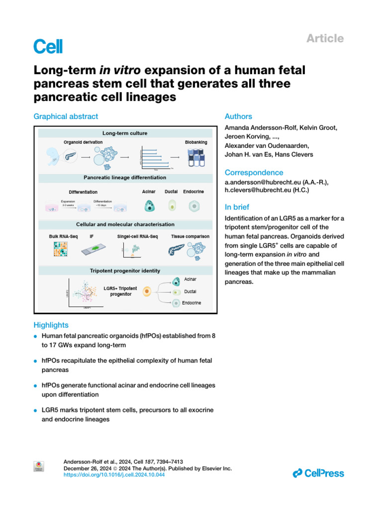 Human Fetal Pancreas Stem Cell Expansion | PDF | Pancreas | Health Sciences