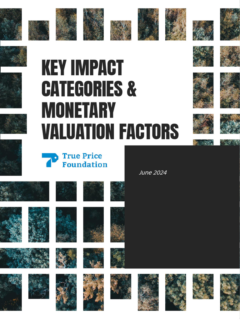 Key Impact Categories & Valuation Factors | PDF | Employment | United ...