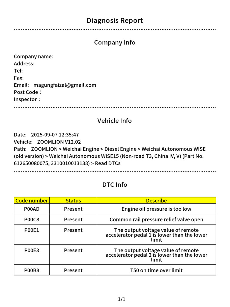 ZOOMLION V12.02 Diagnosis Report | PDF