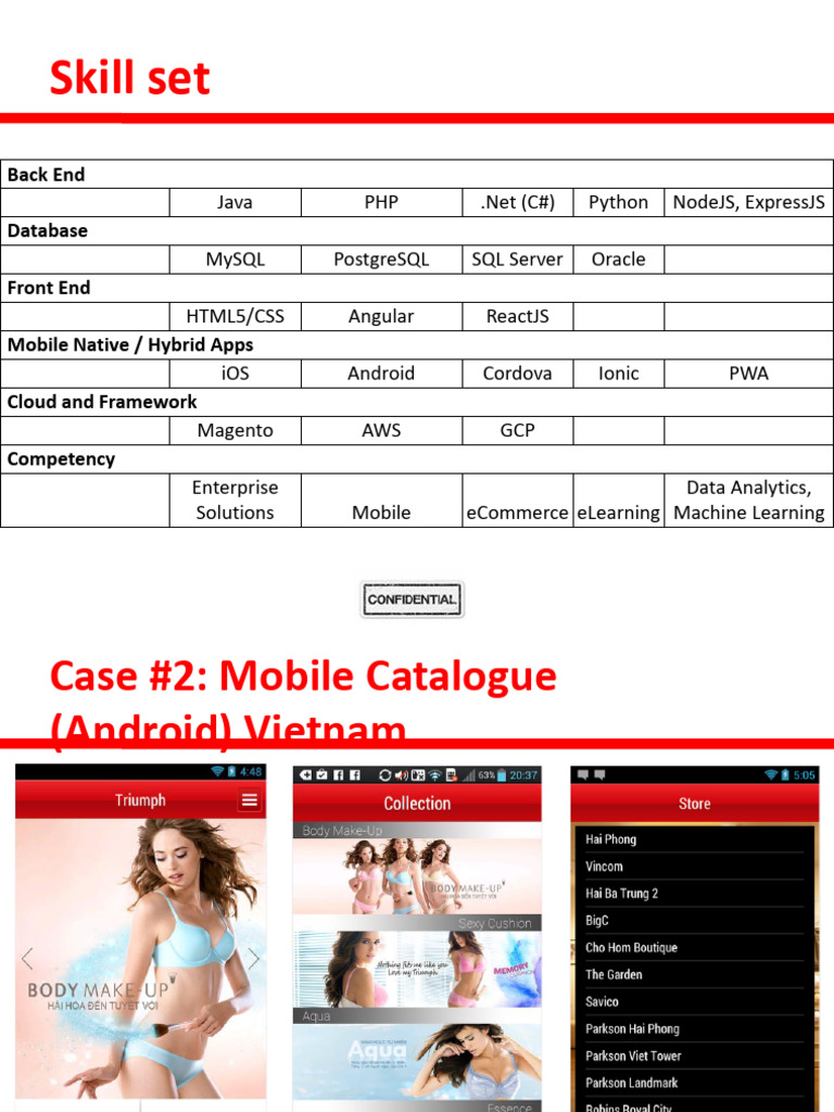 Comprehensive Tech Skill Set Overview | PDF