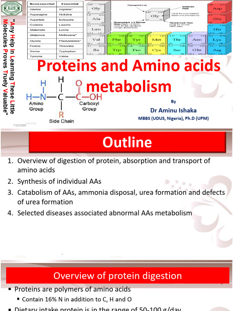Protein and Amino Acid Metabolism Guide | PDF | Amino Acid | Biosynthesis