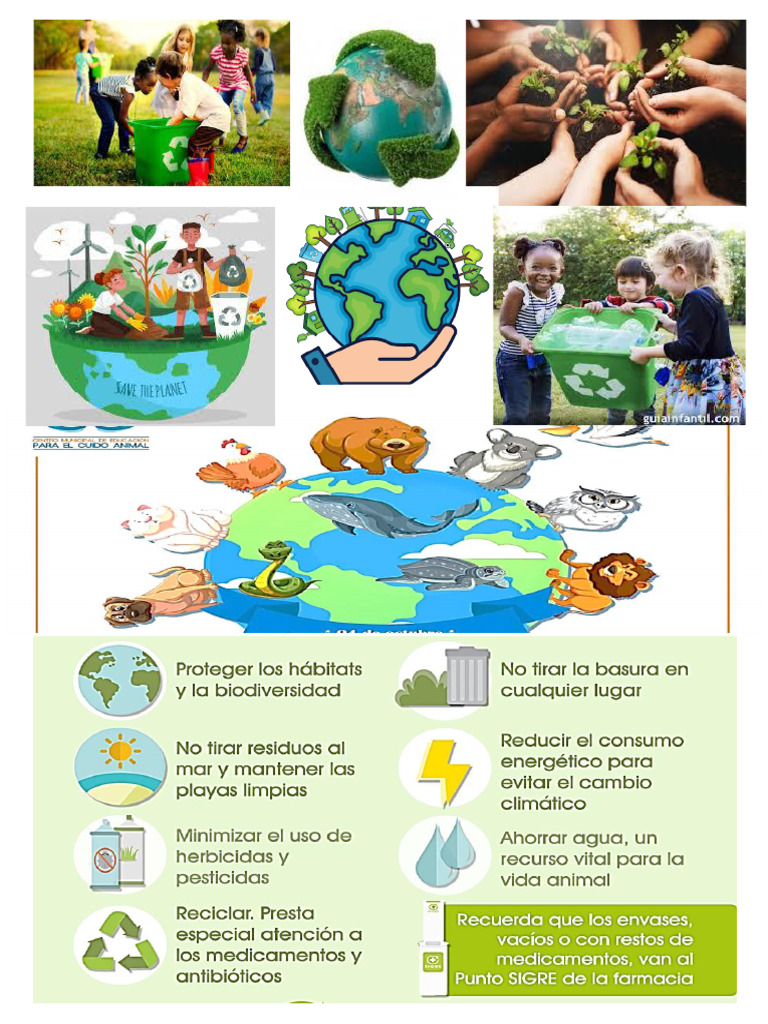 Cuiddo Del Medio Ambiente More | PDF
