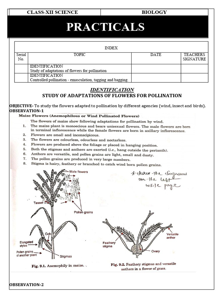 Class-Xii Biology Practical Materials-10 | PDF