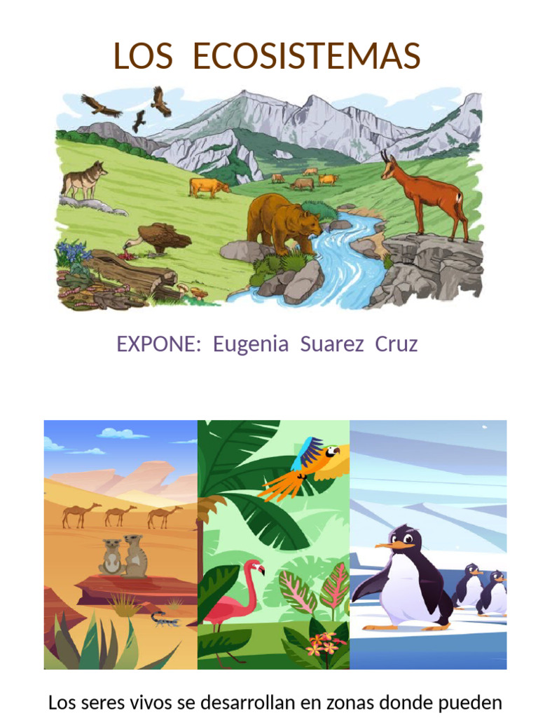 Tipos y Cuidado de Ecosistemas | PDF | Ecosistema | Ecología