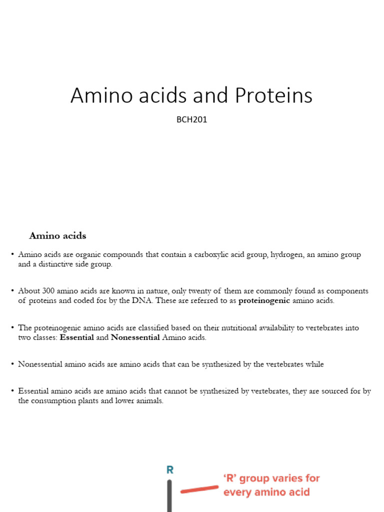 Amino Acid and Proteins (BCH201) | PDF | Protein Structure | Amino Acid