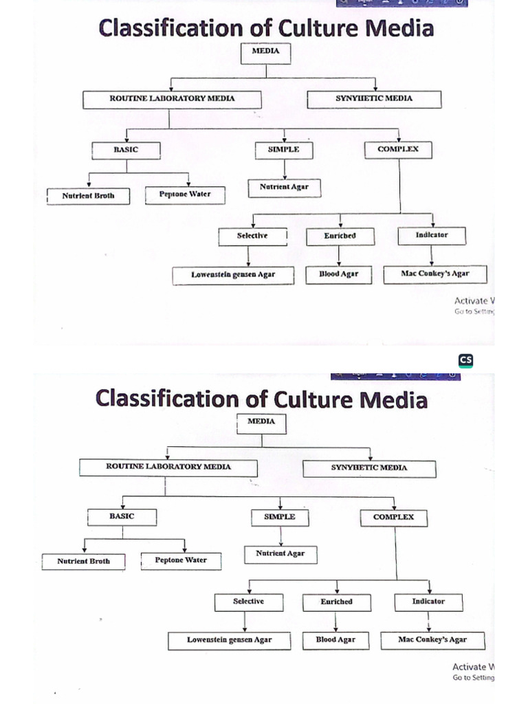 Culture Media Classification | PDF