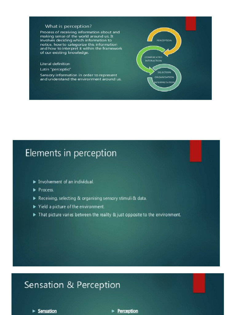 Perception Intro | PDF