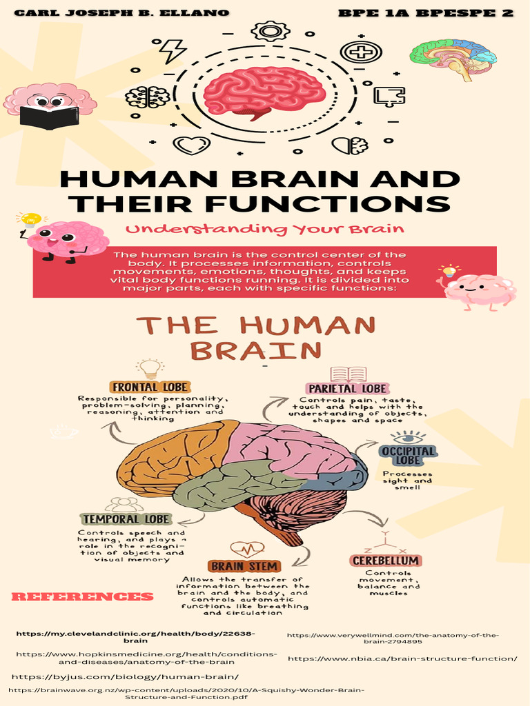 Beige and Red Modern Left Brain and Right Brain Infographic PDF | PDF