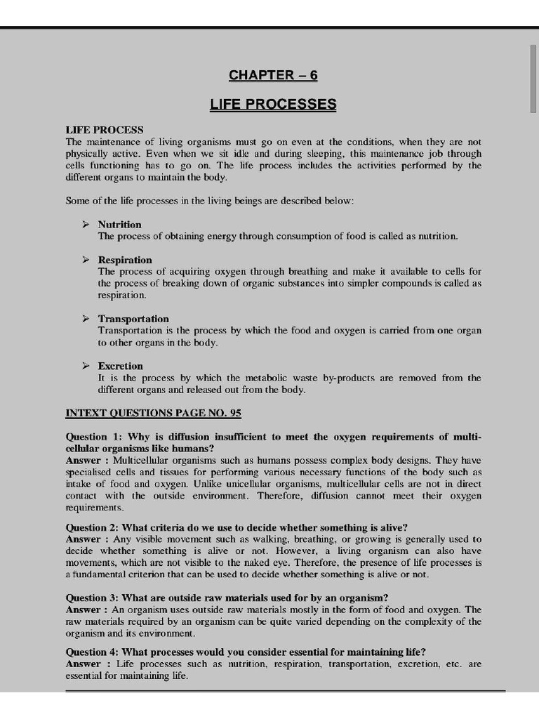 Life Processes | PDF