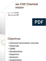 Overview CNS Chemical Transmission