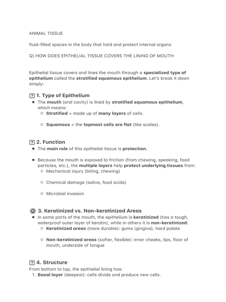 Understanding Epithelial Tissue Functions | PDF | Epithelium ...