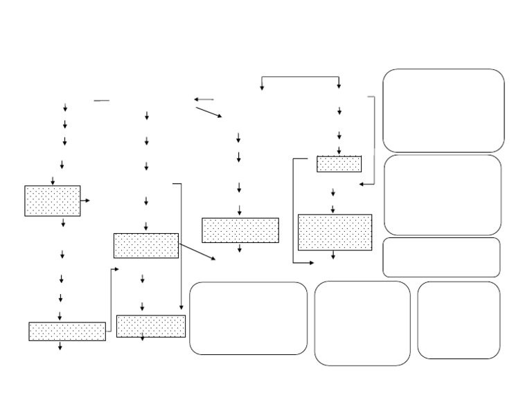 Pathway DM | PDF